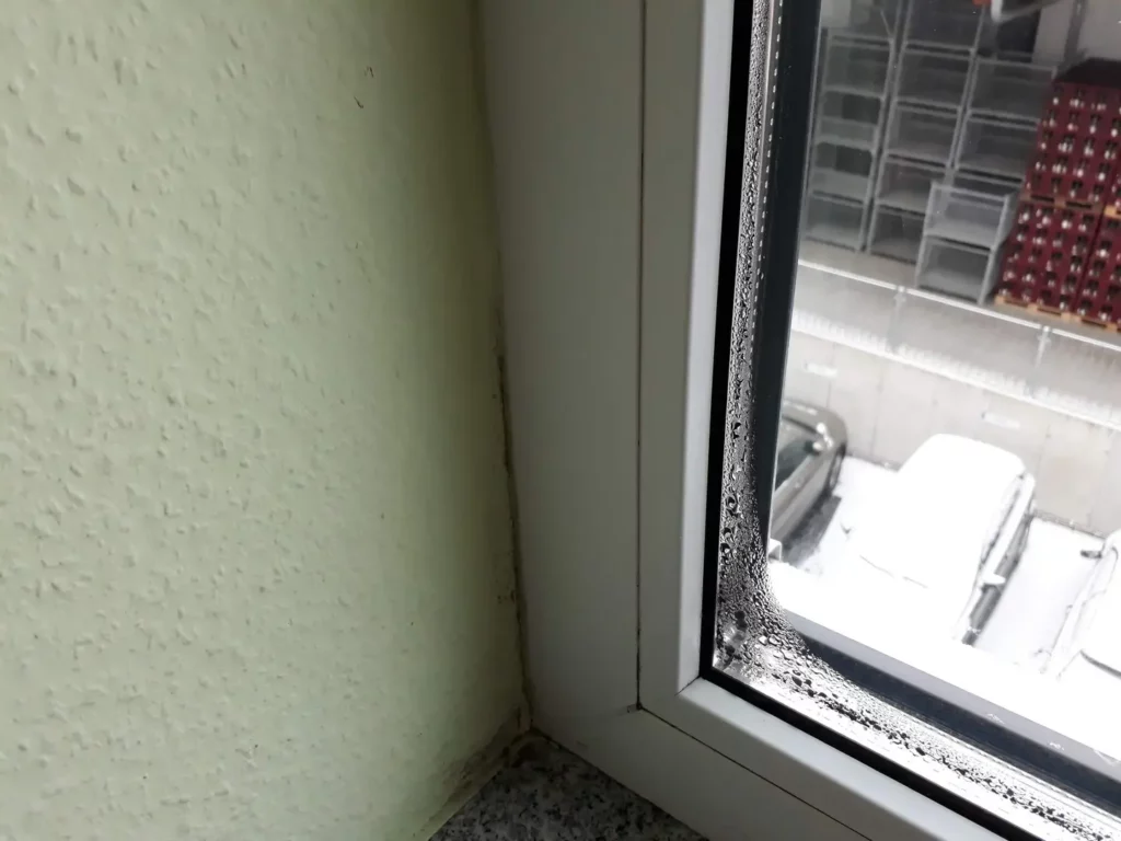 Kondenwasser am Fenster Schimmel / mold in germany what is schimmel