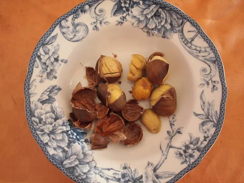 Chestnuts in Germany / Kastanien und Esskastanien und Maronen
